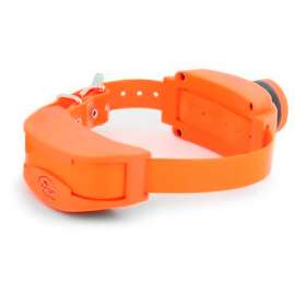 COLLIER SPORTDOG AVEC BEEPER SPORTRAINER SD-1875-E