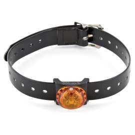 LUMIERES DE LOCALISATION SPORTDOG BEACON